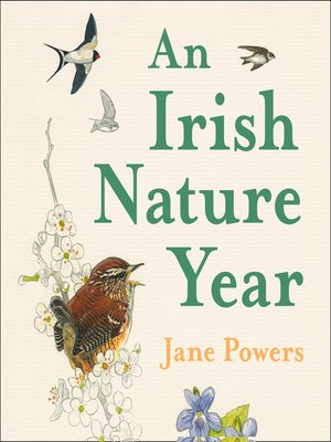 cover image of An Irish Nature Year